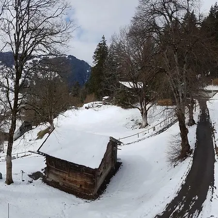 Homestay Eiger View